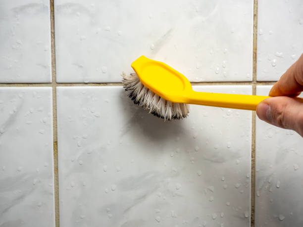 Mold Removal Process in Lima, PA